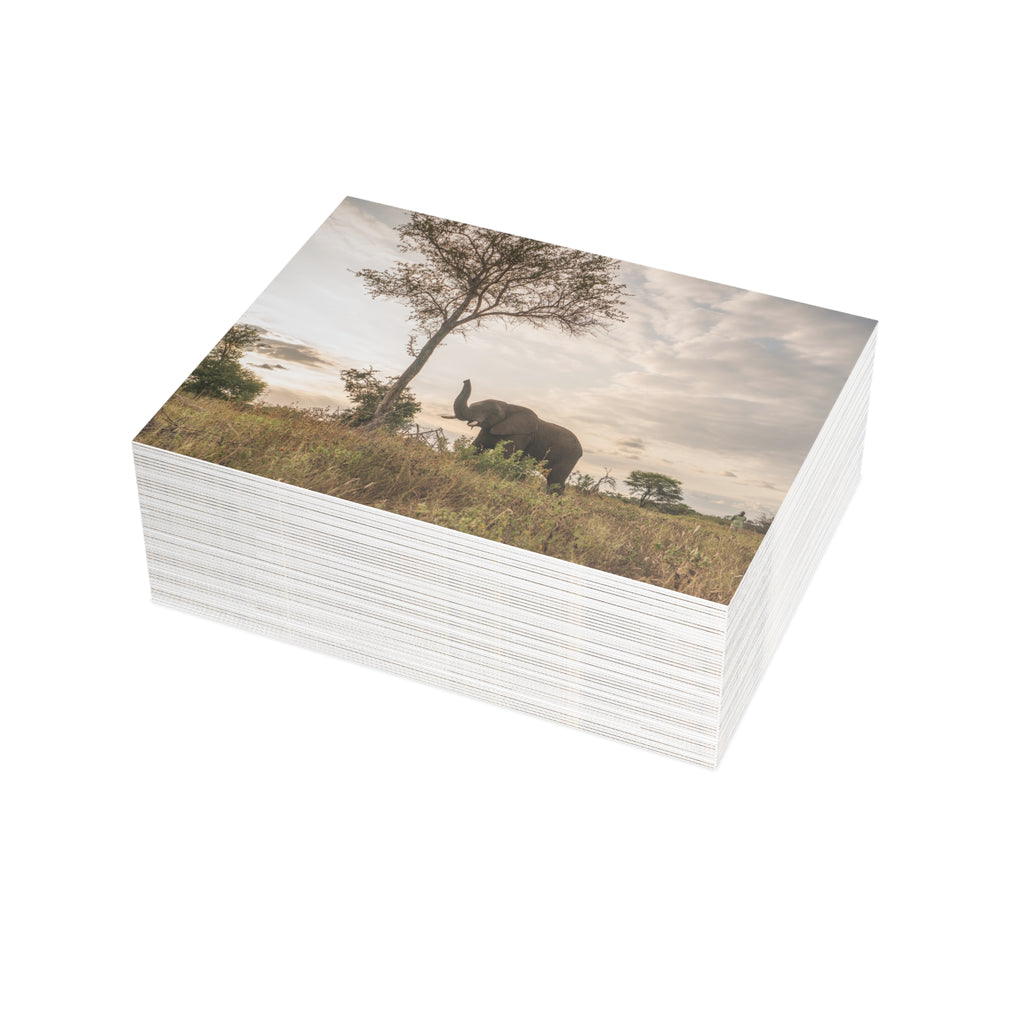 Jabulani Postcards (with envelopes) 10's