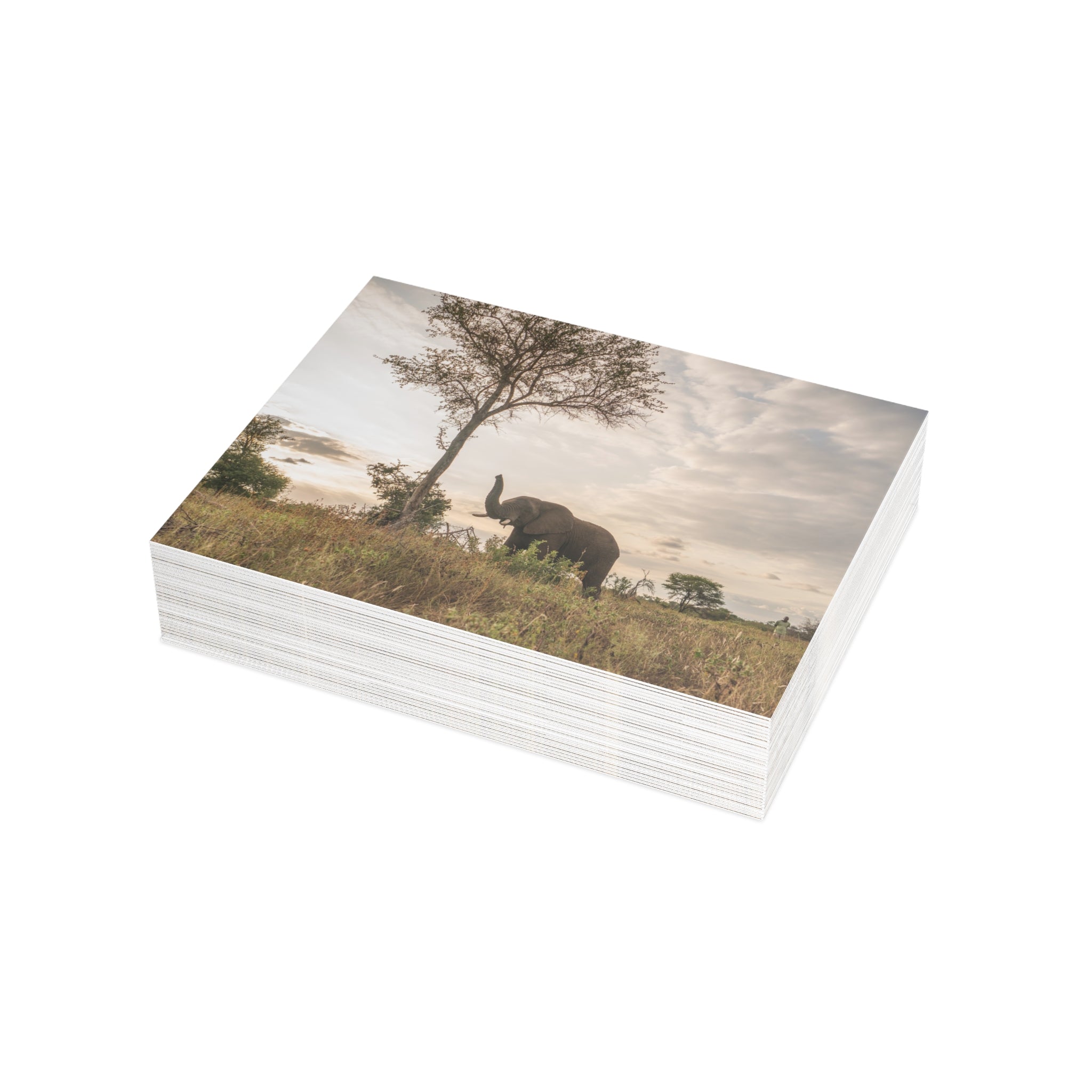 Jabulani Postcards (with envelopes) 10's