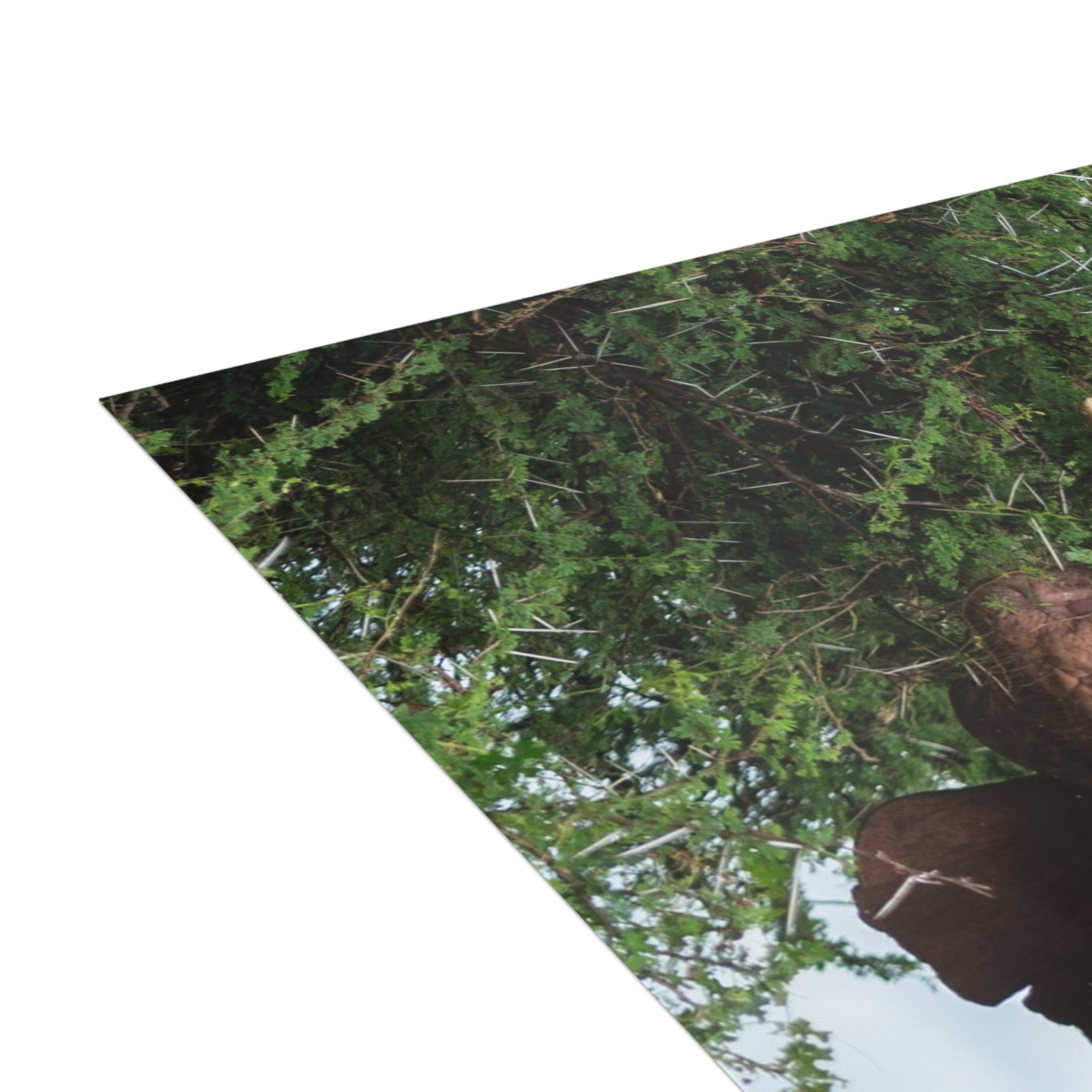 Khanyisa Postcards (with envelopes) 10's