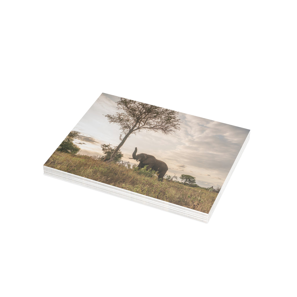 Jabulani Postcards (with envelopes) 10's